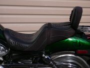 crocodile skin & leather